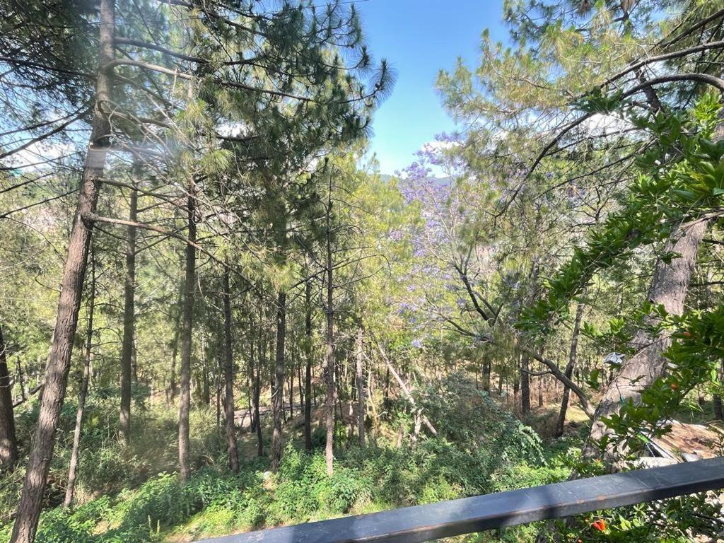Dagshai Sunrise Cottage מראה חיצוני תמונה