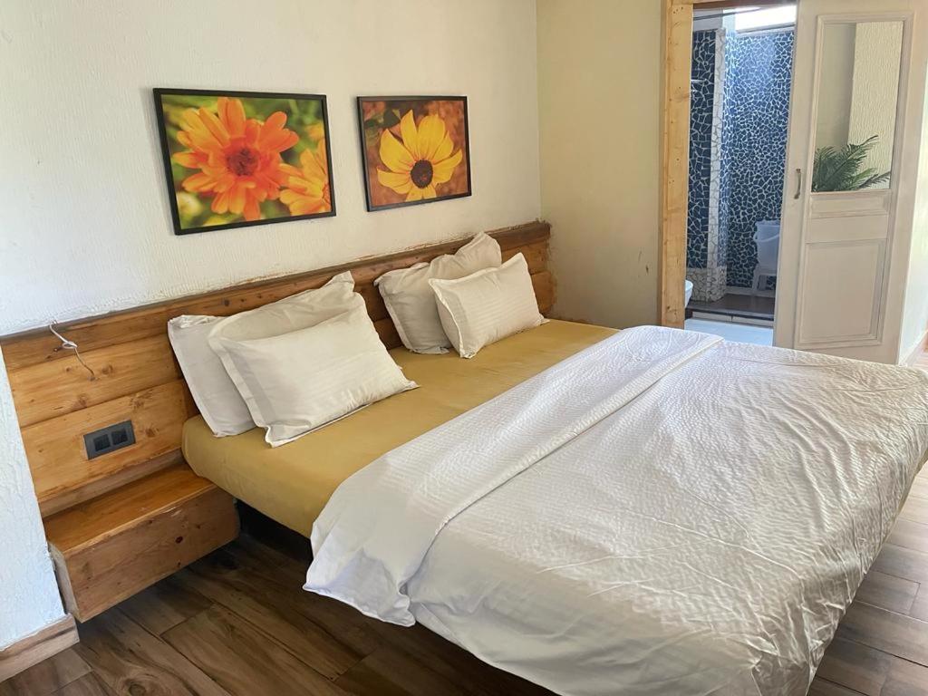 Dagshai Sunrise Cottage מראה חיצוני תמונה