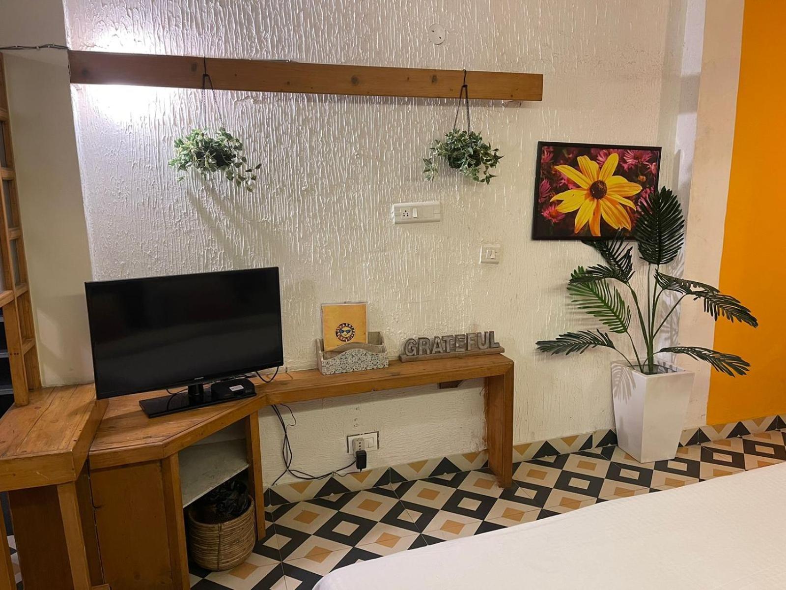 Dagshai Sunrise Cottage מראה חיצוני תמונה